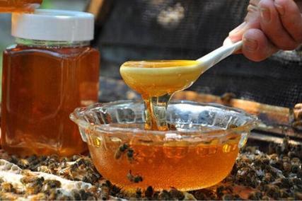 什么方法证明蜂蜜是好蜂蜜,辨别蜂蜜最简单的方法(2)