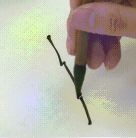 雀爪枝画法,写意雀枝的画法(4)