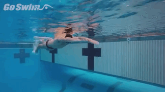 自由泳高肘抱水正确方法,自由泳抱水正确方法(3)