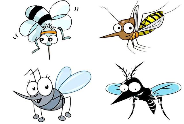 蚊子怎么画简单画法,如何画蚊子的简笔画(2)