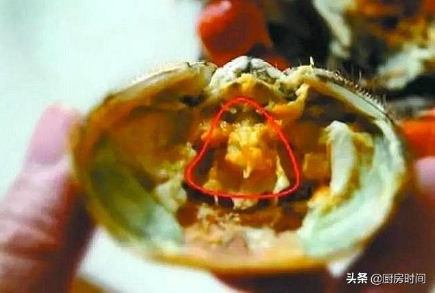 蟹心蟹胃在哪个部位图解,螃蟹蟹心蟹胃高清图解(5)