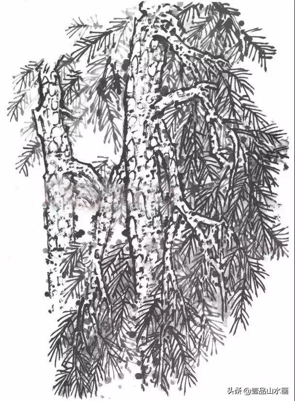 山水画中树的表现技法,山水画中的树大全图(5)