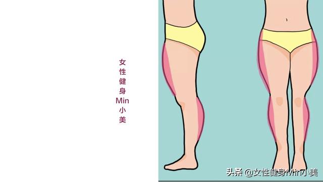 大腿外侧粗壮是什么原因,大腿粗壮的原因有哪些(3)