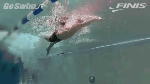 自由泳移臂入水发力,自由泳移臂入水点长好还是近好(2)