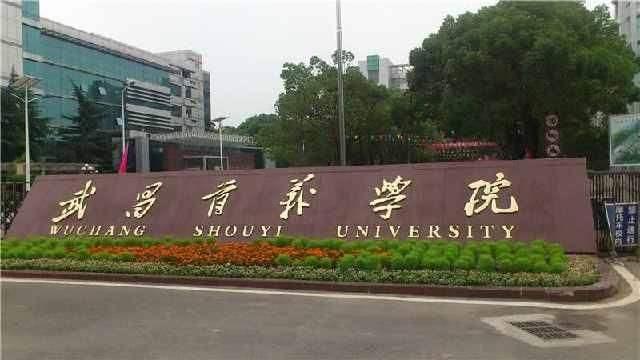 武汉最好15所民办大学,武汉最好15所专科大学(1)