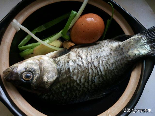 小草鱼为什么不能吃,草鱼为什么不建议吃(4)