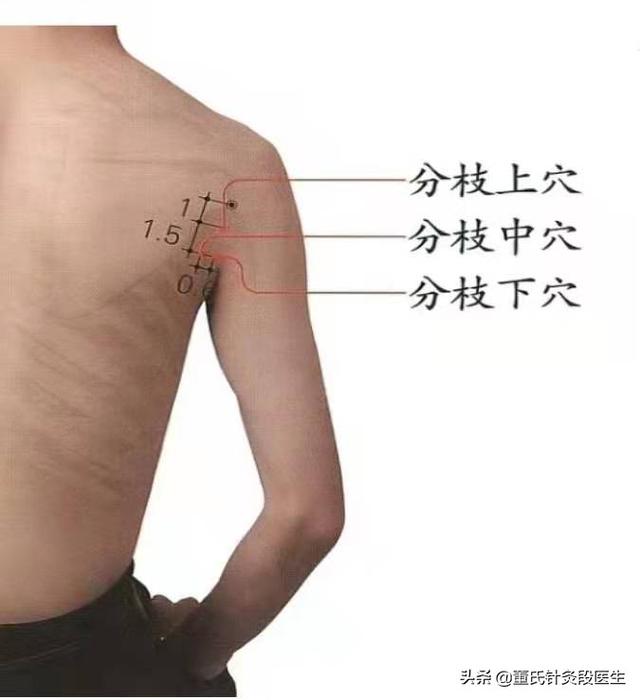 通胃通肾通背位置图,通肾通胃通背的位置图和功效(1)