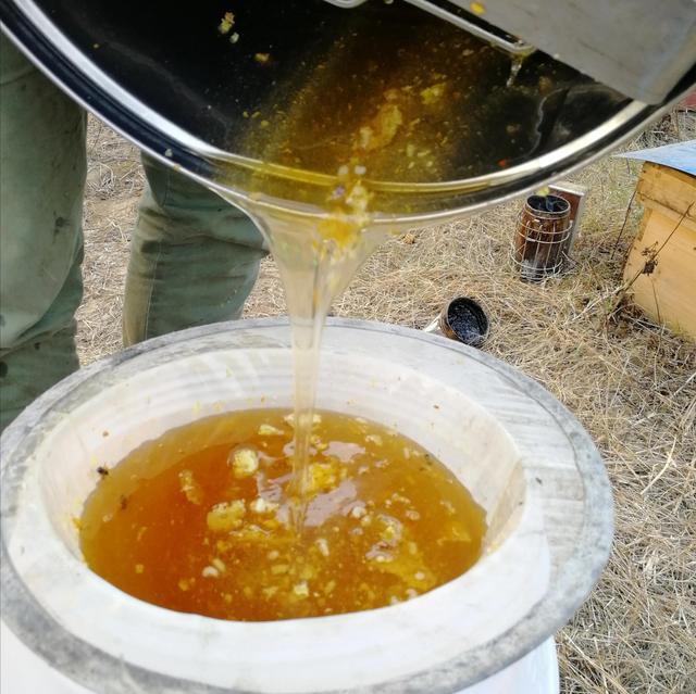 割蜂蜜最好的方法,长期割蜂蜜的最佳方法(4)
