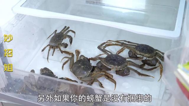 买来的螃蟹怎样冷冻,新鲜的活螃蟹能冷冻吗(4)