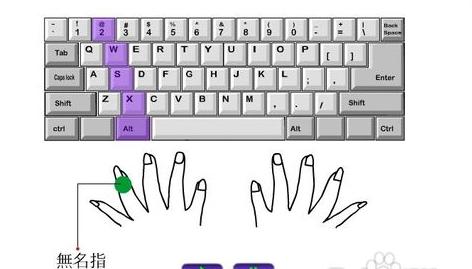 电脑小键盘手指正确位置,电脑键盘手指正确使用法(3)