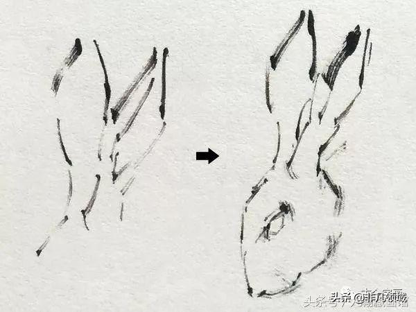 写意画大兔子的步骤,国画兔子怎么画一步一步教(3)