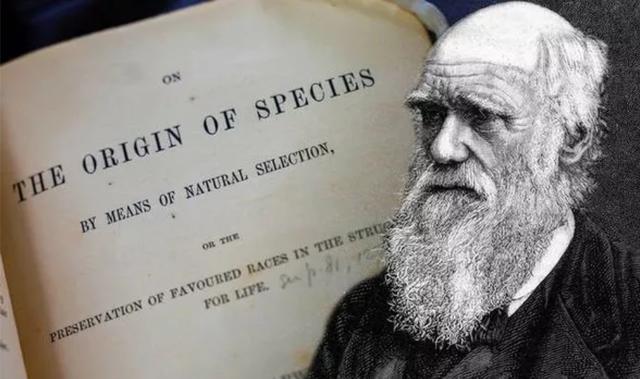 进化论被证实过吗,达尔文进化论被推翻的证据(1)