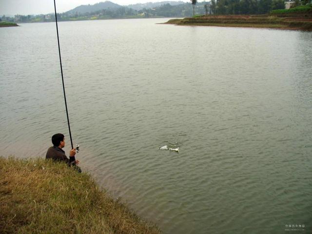 冬天一个人钓鱼用什么鱼竿好,钓场一般用鱼竿多长合适(1)