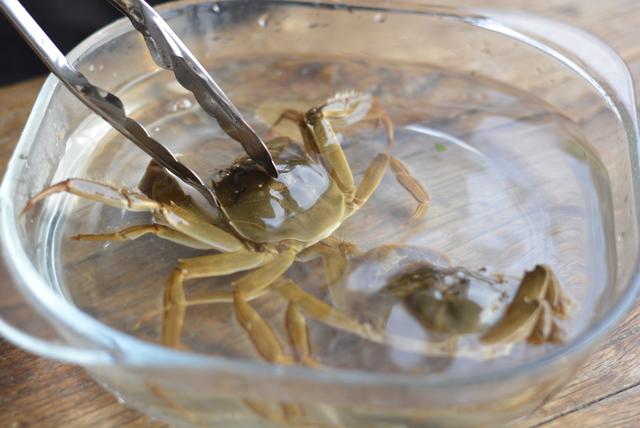 螃蟹是冷水下锅还是热水下锅,螃蟹是冷水下锅还是热水下锅好(3)