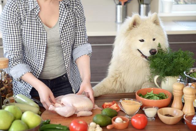 犬肠做法,狗肠的10种吃法(2)