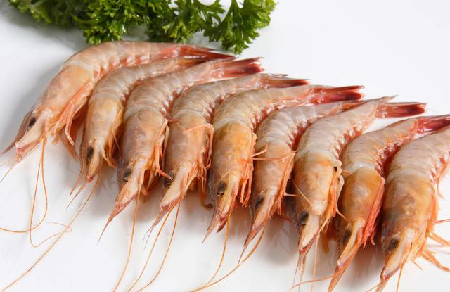 海虾和淡水虾图片对比,海虾与淡水虾的外观区别图片(3)