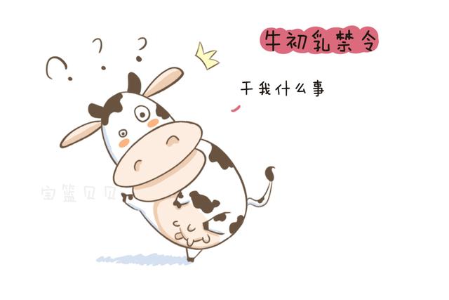 牛初乳对人真的有用吗,牛初乳对成年人有什么作用吗(2)