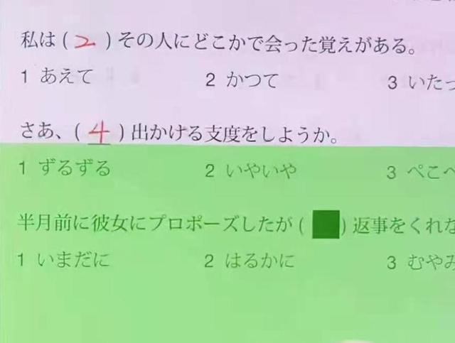 日本人小学生一般用什么笔,日本人一般喝什么(3)