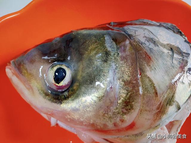 鲜青椒煮鱼头做法大全家常,青椒鱼头的做法(2)