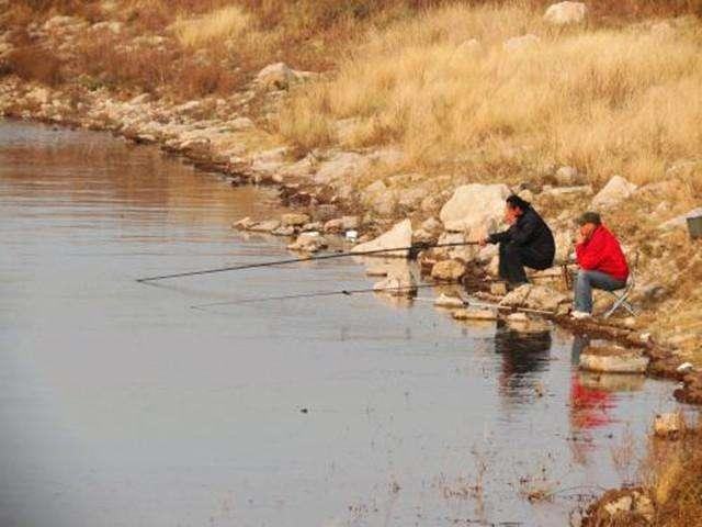 冬天钓草鱼的最好方法,冬季钓草鱼的最简单的方法(2)