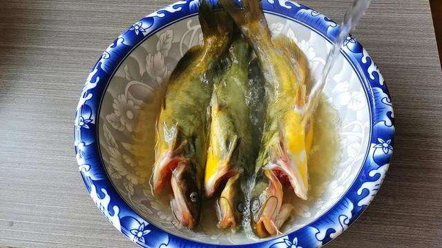黄骨鱼除了炖豆腐还可以炖什么,炖黄骨鱼可以加什么配菜(3)