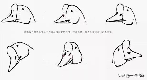 鹅怎么画画最好看,鹅最简单的画(2)