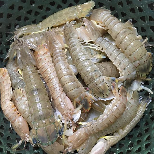 皮皮虾和普通虾哪个好吃,皮皮虾好吃还是普通的虾好吃(4)