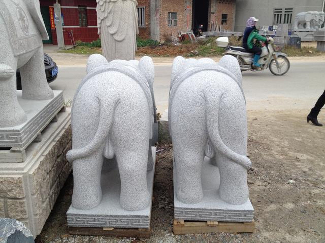 大象摆放分公母吗,大象摆放位置示意图(2)