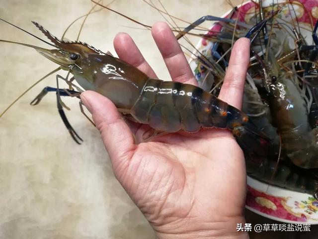 个头大的虾怎么做好吃,比较大的大虾怎么做才好吃(3)