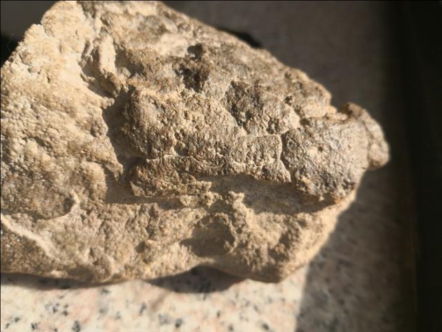 陨石橄榄石的鉴别方法,橄榄石陨石图片和特征(3)