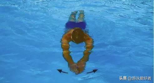自由泳抱水动作图解,自由泳抱水路线和手型变化(4)