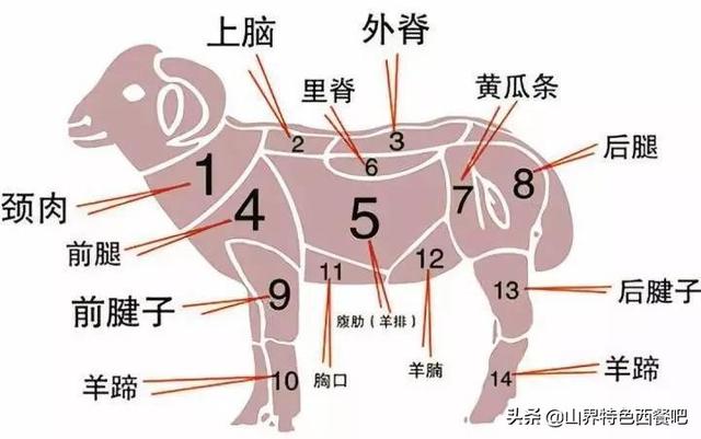 自贡手搓牦牛肉的制作方法,四川自贡五香牦牛肉的做法(9)