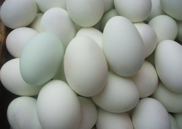 五香鸭蛋怎么腌好吃,做美食的视频大全(1)