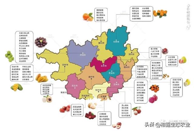 广西十大水果排名,100种南方水果大全(1)