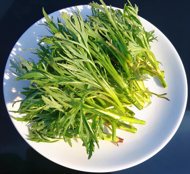 山野菜大叶芹怎么腌,腌大叶芹的做法(3)