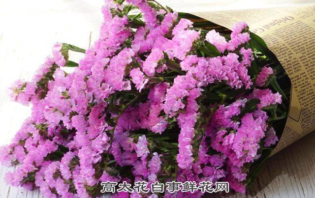 清明节给亲人扫墓买什么鲜花,清明节给亲人扫墓要买几束花(5)