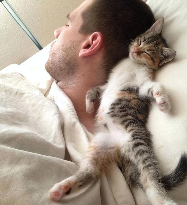 猫咪睡你头顶边好不好,猫咪喜欢睡我头边上什么原因(2)