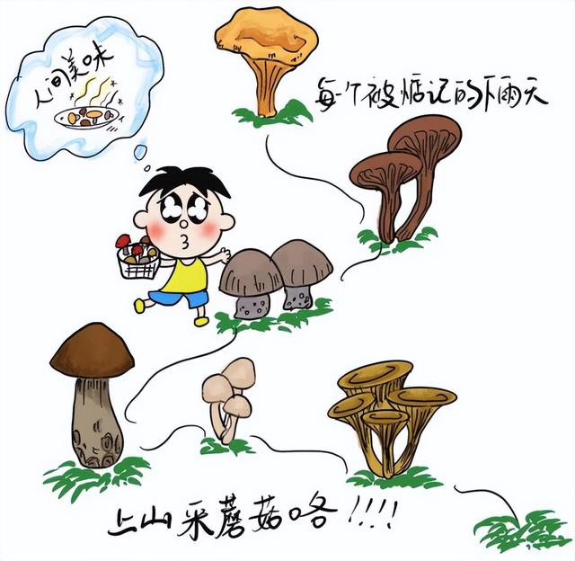 为什么不能在屋里种蘑菇,在家种蘑菇有危害吗(2)
