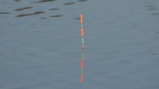7.2米鱼竿用几克的漂,7.2米鱼竿重量多少为最佳(2)