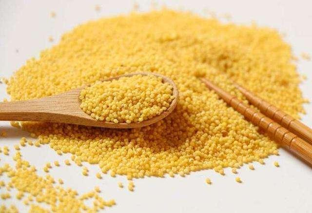 小米和大米哪个更好吸收,小米和大米哪个更好消化(3)