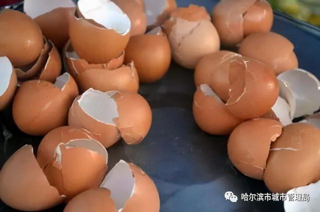 鸡蛋壳是可腐烂垃圾吗,鸡蛋壳是干垃圾还是湿垃圾(1)
