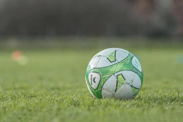 足球大球预测技巧,足球长期稳定获利的傻瓜方法(1)