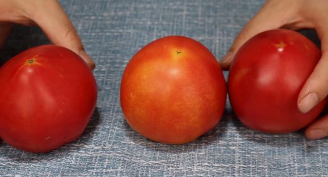 打激素西红柿对比图片,怎样辨认不打激素的西红柿(1)