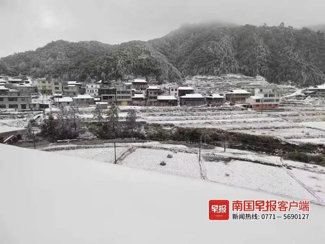 广西哪里下雪多,广西要到几月份开始冷(1)
