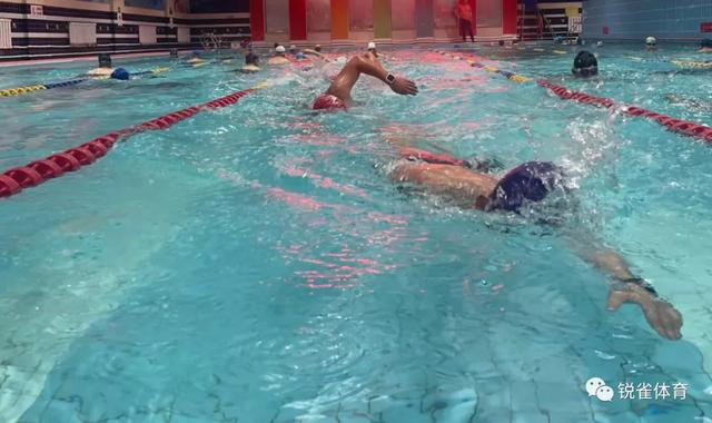 游泳训练核心力量的方法,游泳专项力量训练方法(3)