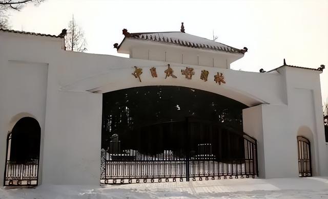方正县日本开拓团纪念碑是谁建的,方正县立碑官员(4)