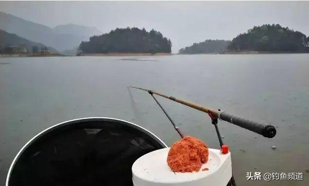 钓鱼最灵的调法视频,公认钓鱼最快的钓法(1)