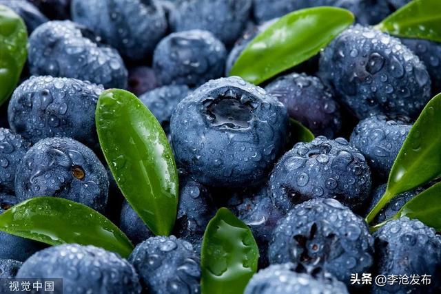 常吃蓝莓有什么好处吗,常吃蓝莓有什么好处和坏处(3)