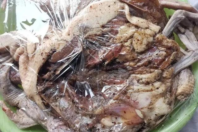 腊鸭正宗腌制方法,腊鸭的腌制方法和步骤(7)