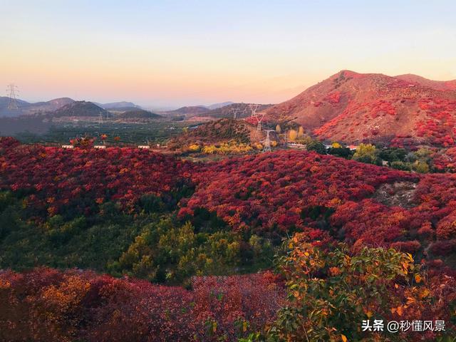 京郊免费有山有水赏红叶的地方,北京周边赏红叶的最佳去处(2)